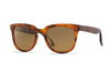 Raen Vista Matte Rootbeer