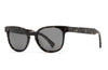 Raen Squire Brindle Tortoise